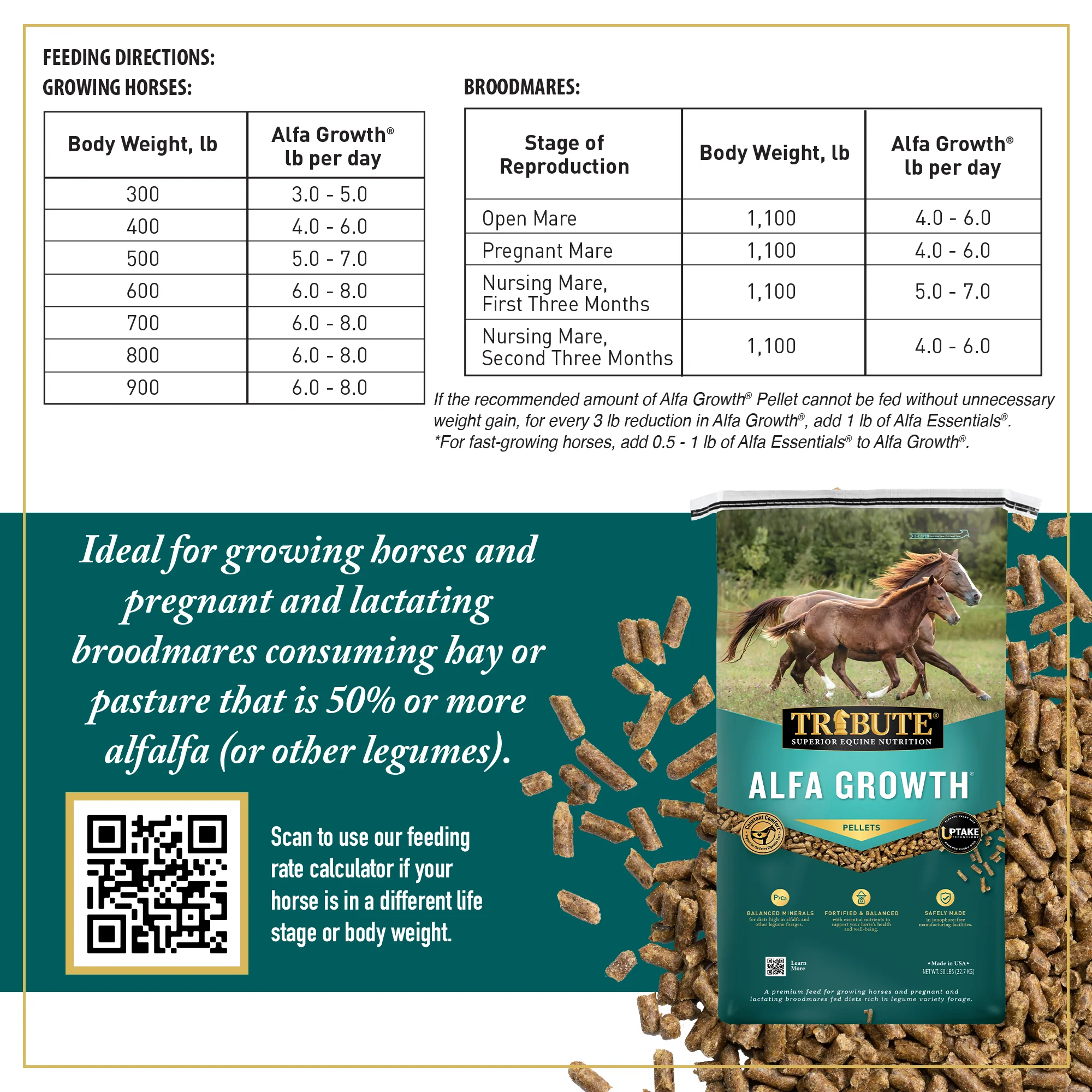 Alfa Growth®, Pelleted Feed for Mares & Foals on Alfalfa Diets - Image 5