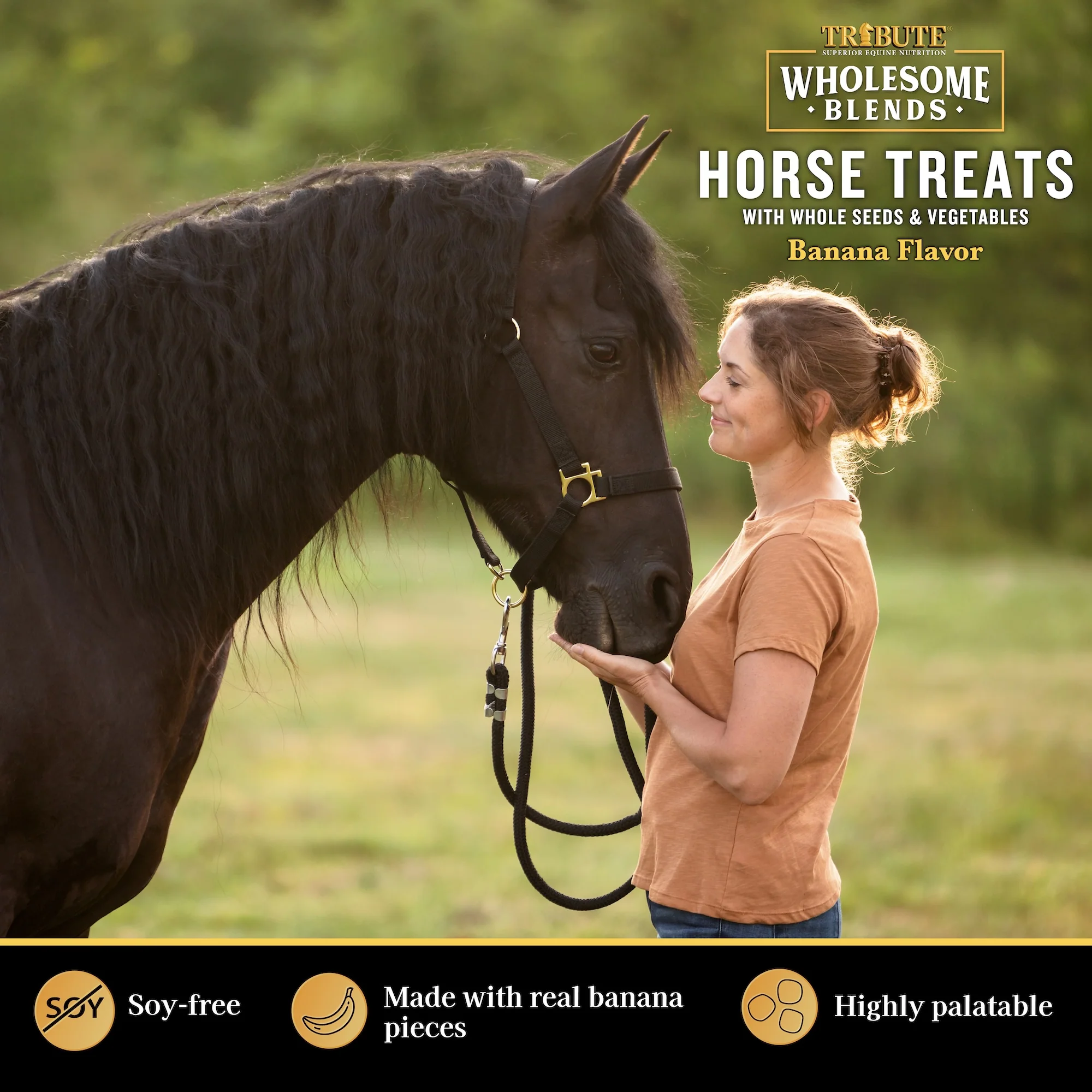 Banana Wholesome Blends® Horse Treats - Image 4