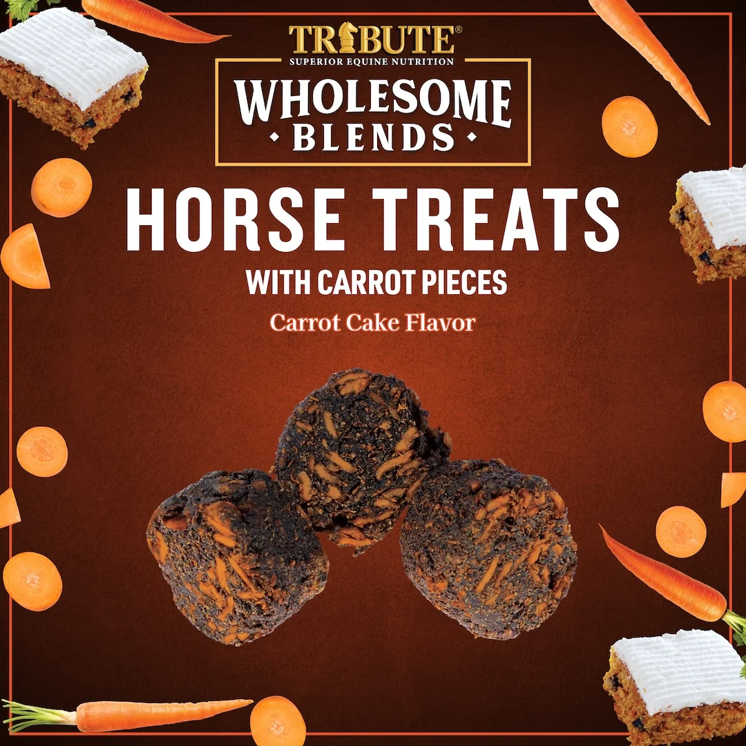 Carrot Cake Wholesome Blends® Horse Treats - Image 6