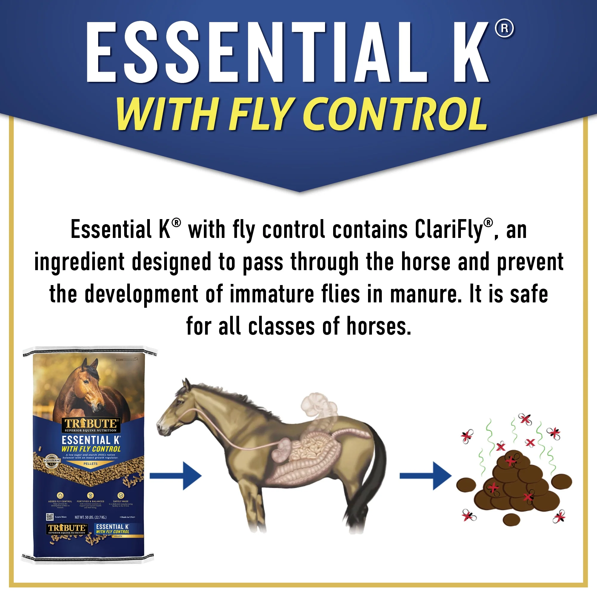 Essential K® with Fly Control, Pelleted, Low NSC Ration Balancer - Image 3