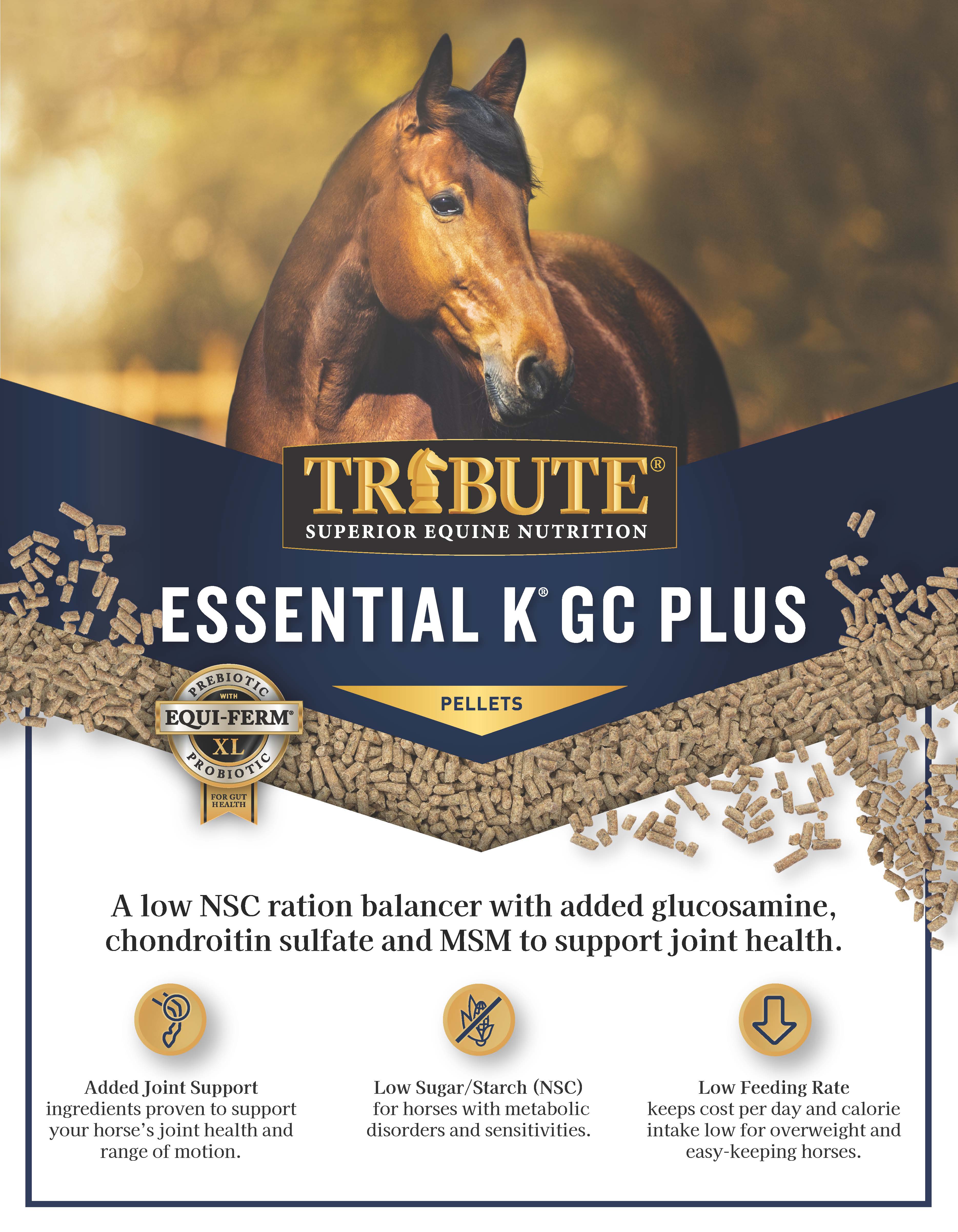 Essential K® GC Plus, Pelleted, Low NSC Ration Balancer with Joint Support - Image 4