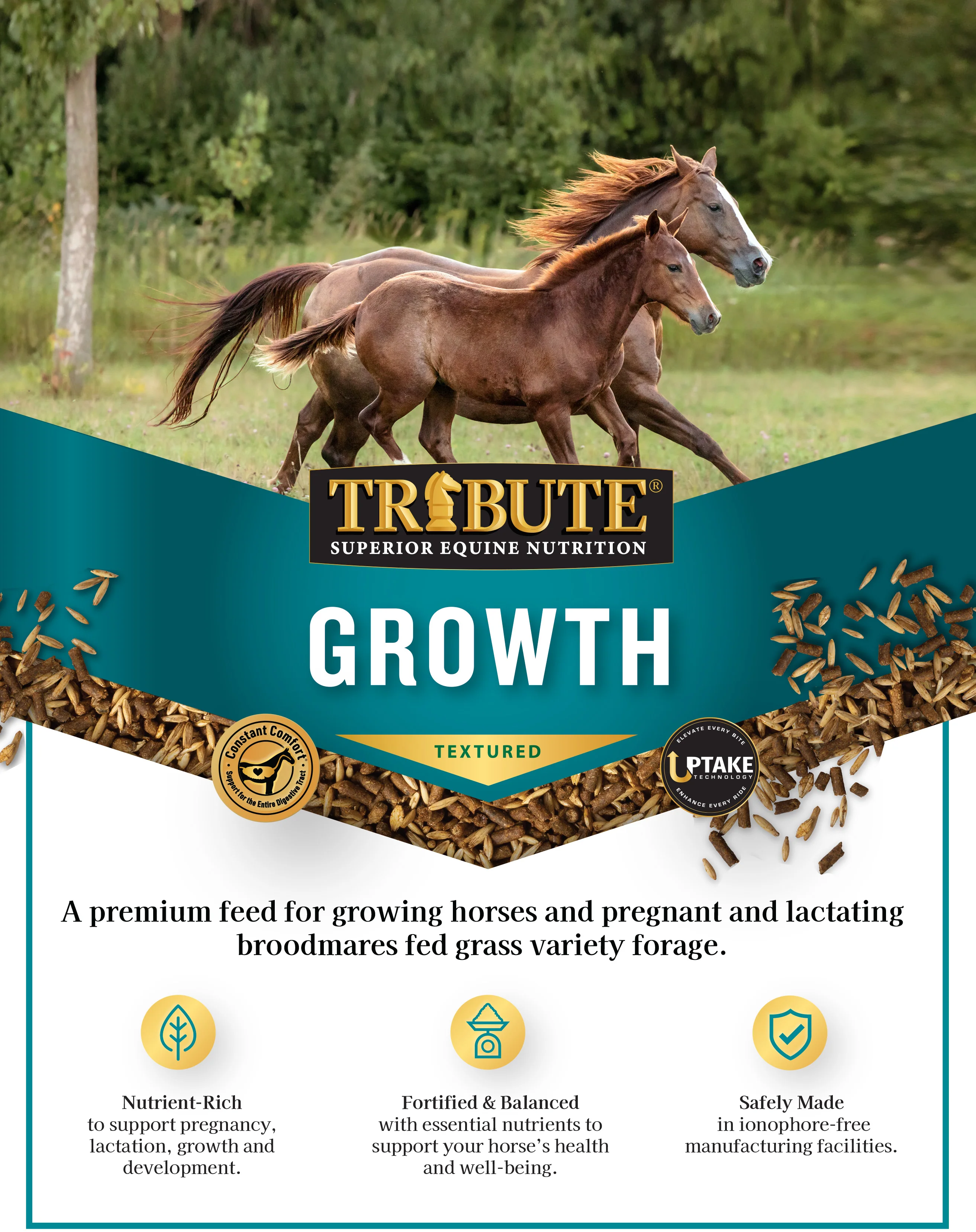 Growth Textured, Mare & Foal Feed - Image 3