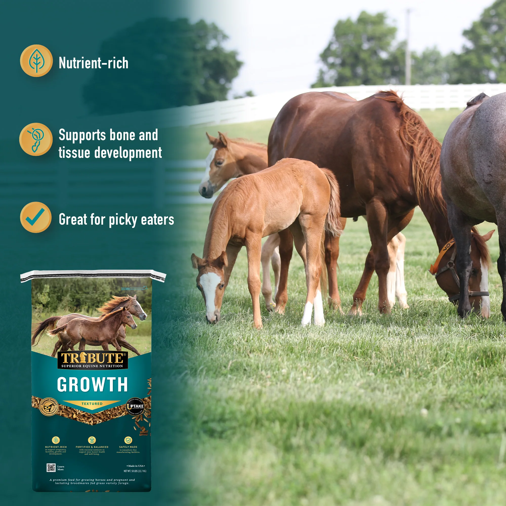 Growth Textured, Mare & Foal Feed - Image 6