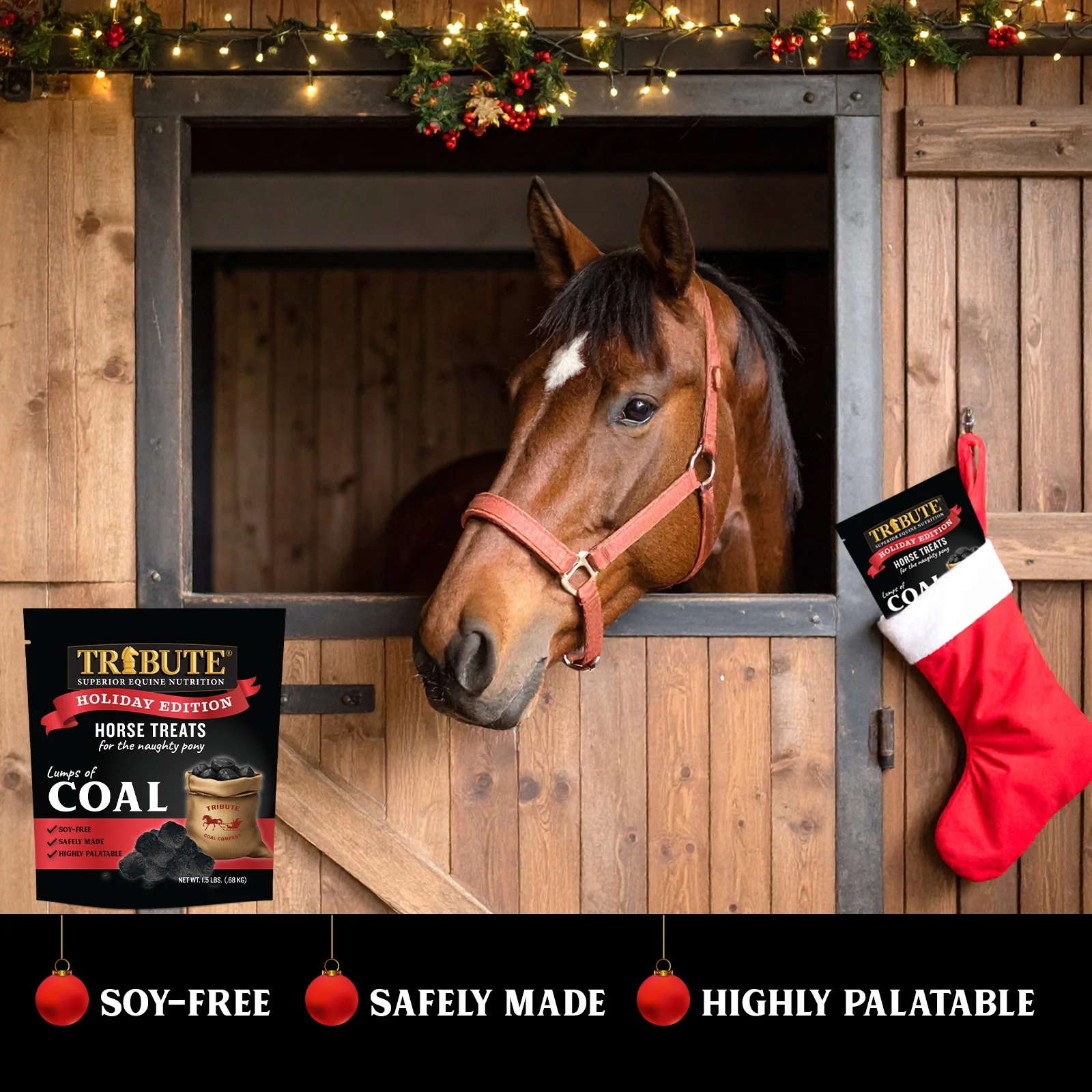Lumps of Coal Horse Treats - Image 4