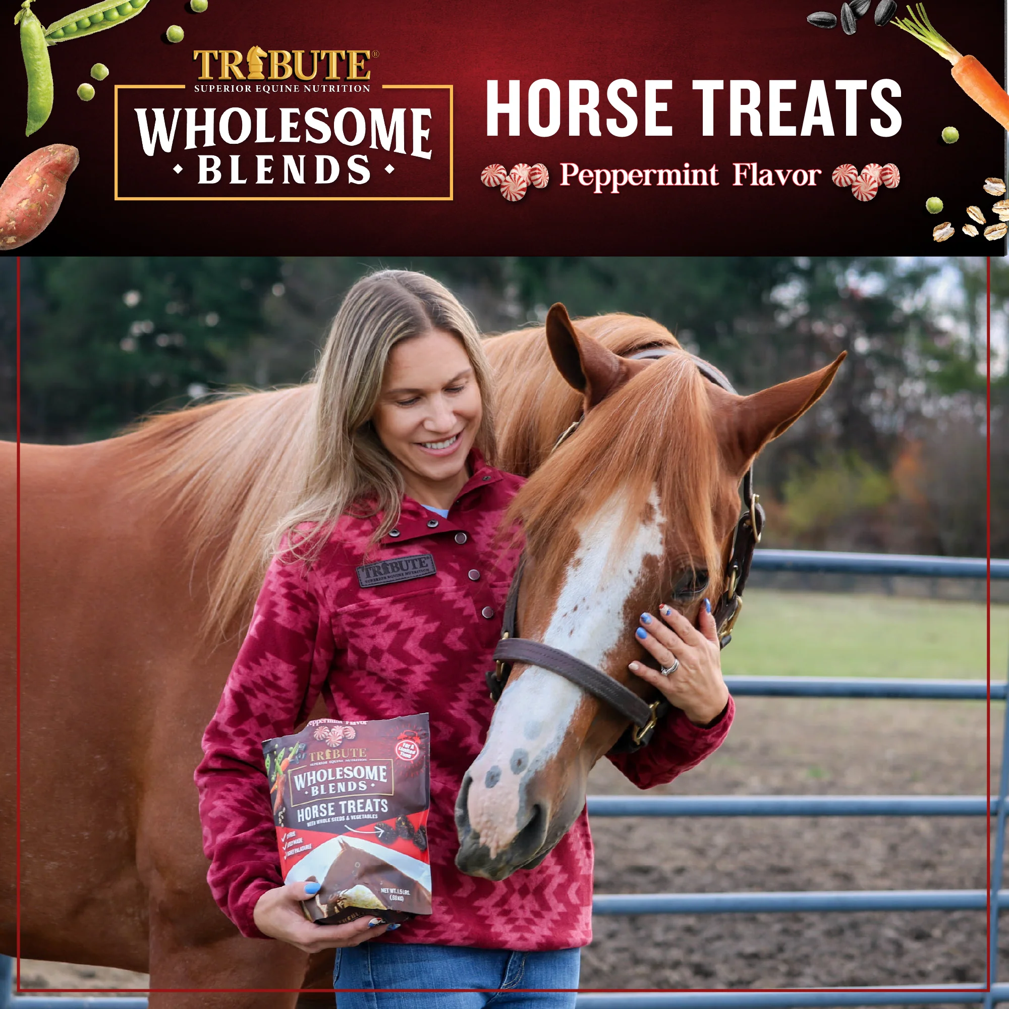 Peppermint Wholesome Blends® Horse Treats - Image 5