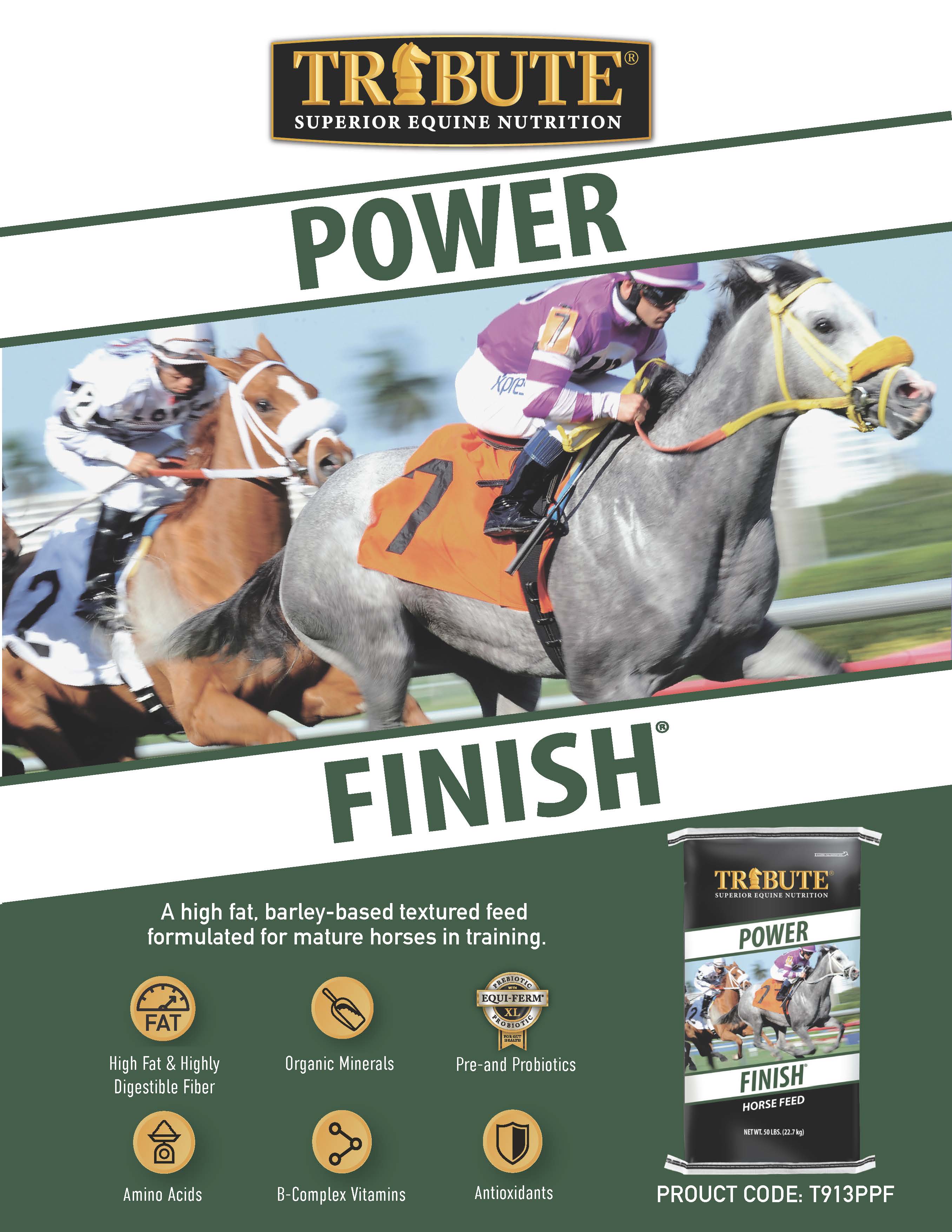 Power Finish®, Textured, Corn-Free Feed for Race Horses - Image 4