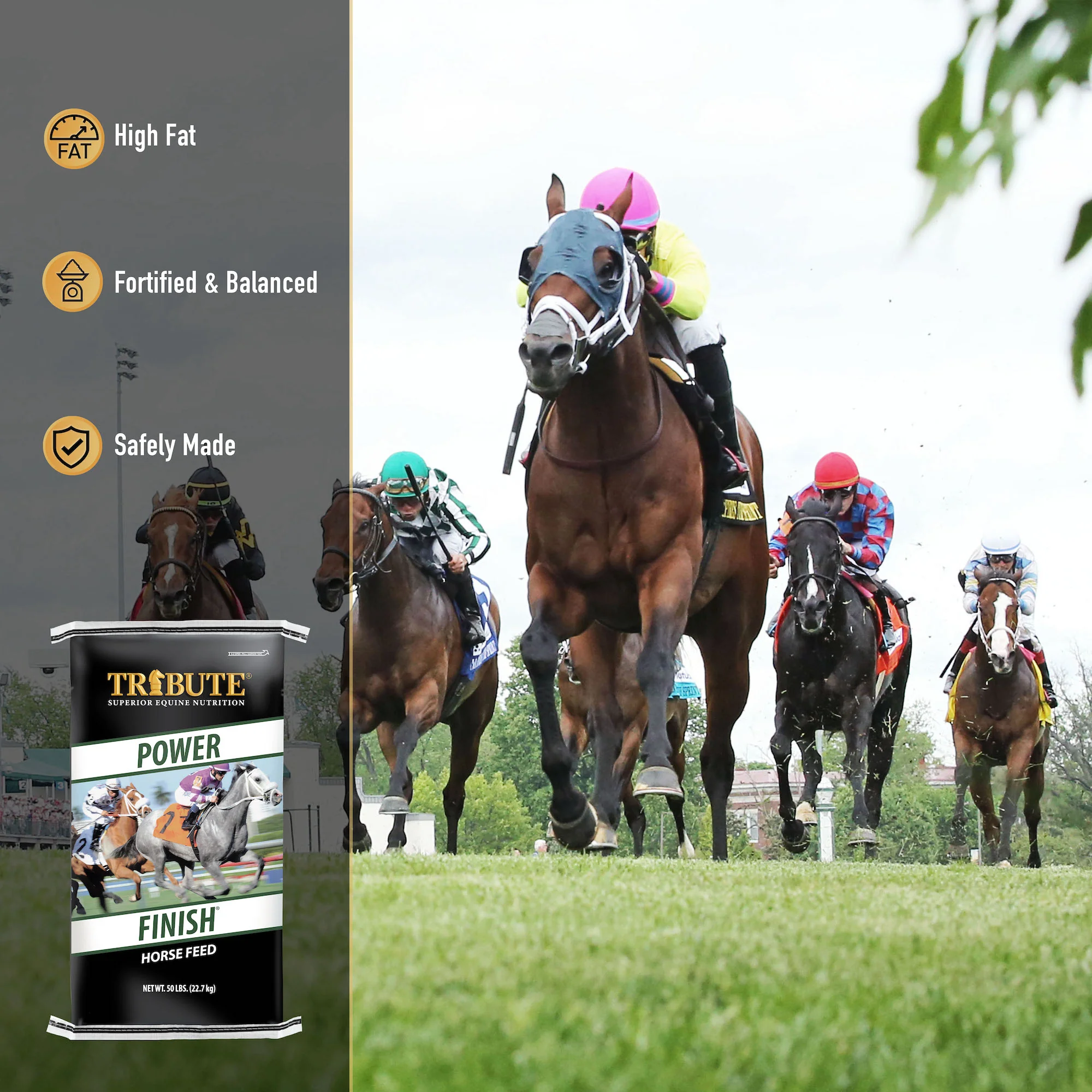 Power Finish®, Textured, Corn-Free Feed for Race Horses - Image 6