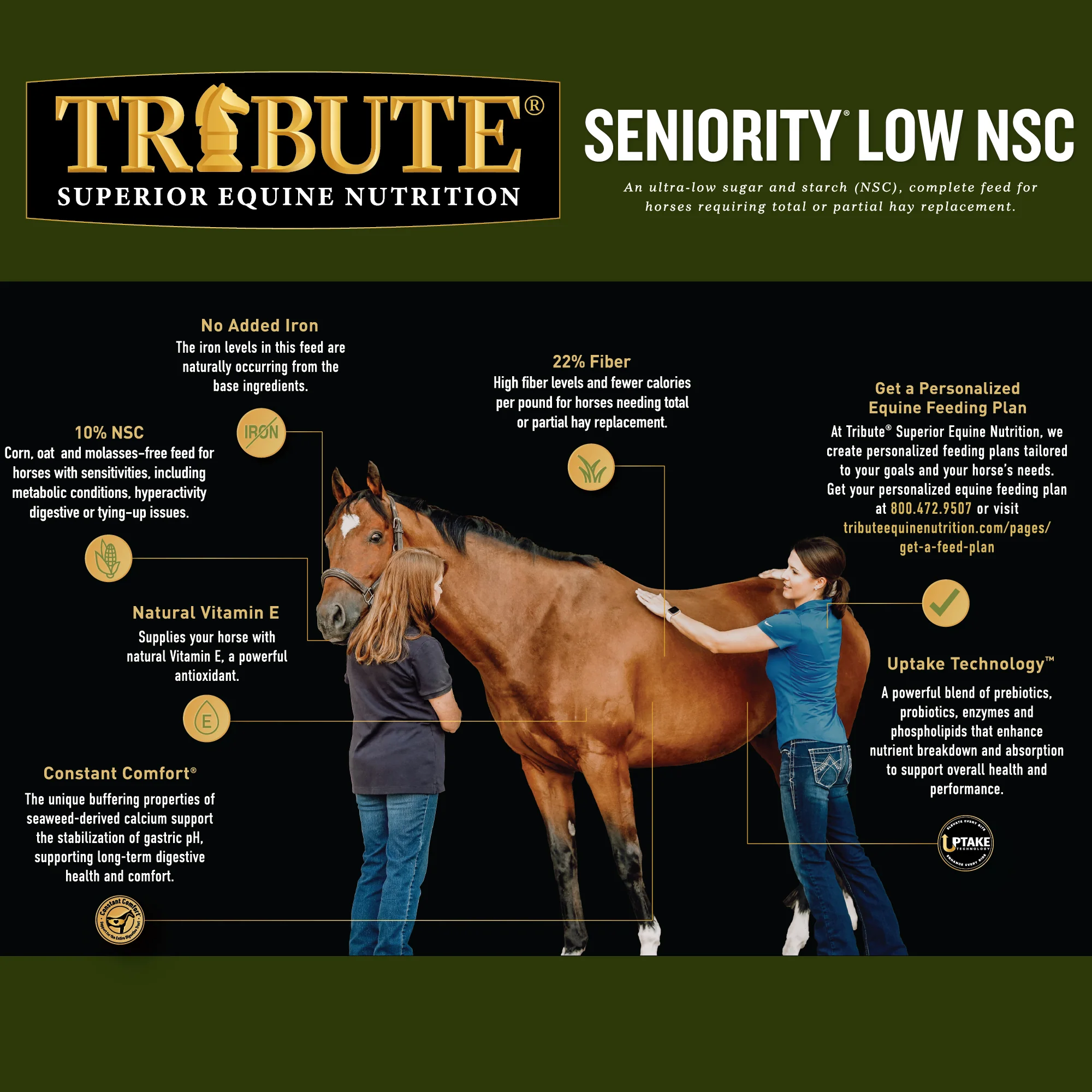 Seniority® Low NSC (10%), Horse Feed - Image 6