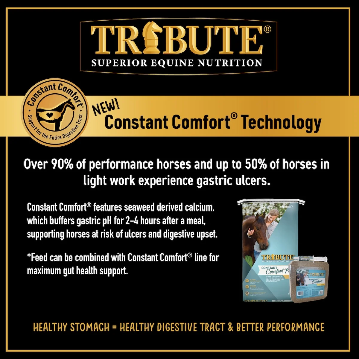 Seniority® Pellet, Hay Replacement Feed - Image 7