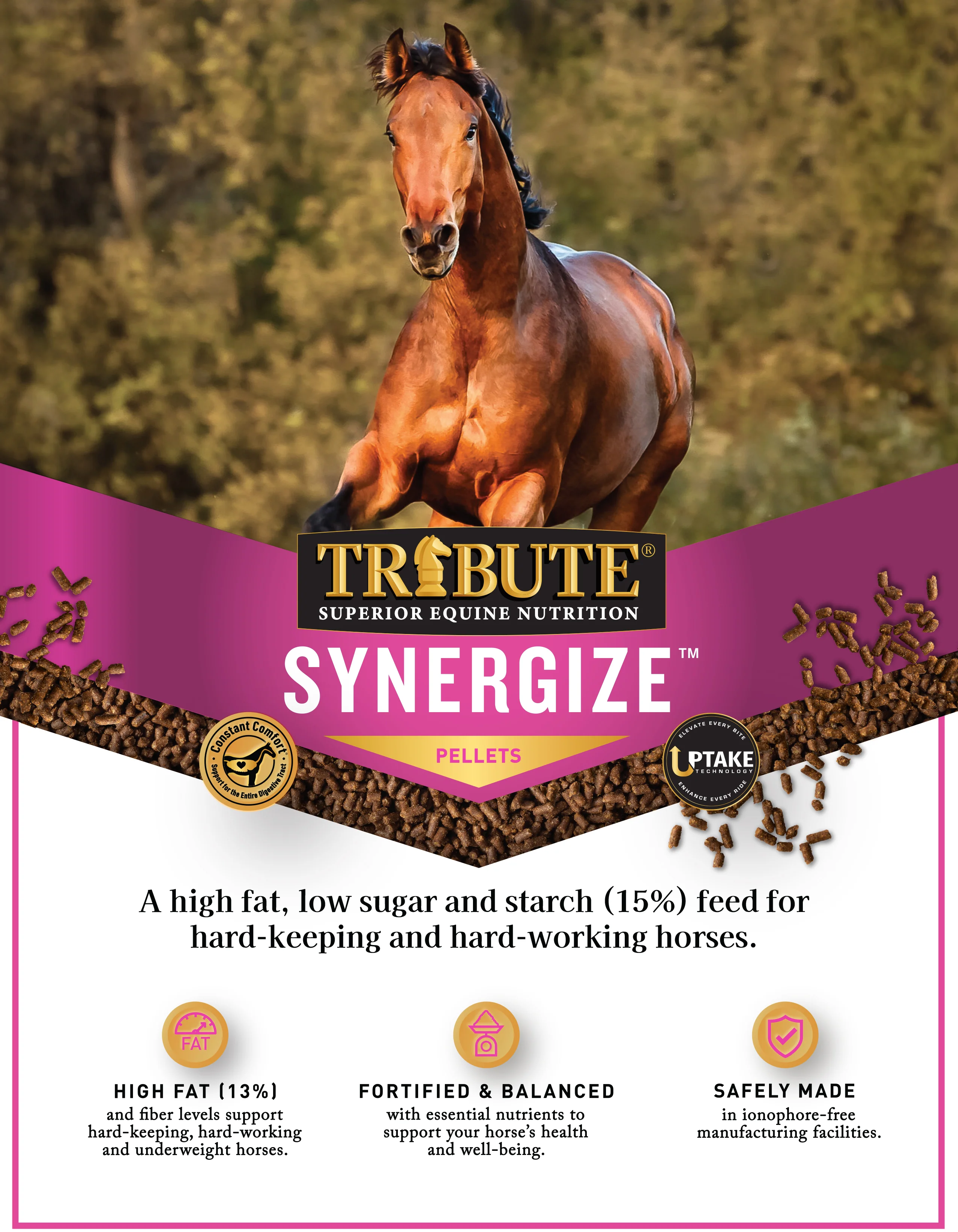 Synergize®, Low NSC, High Fat Pelleted Horse Feed - Image 3