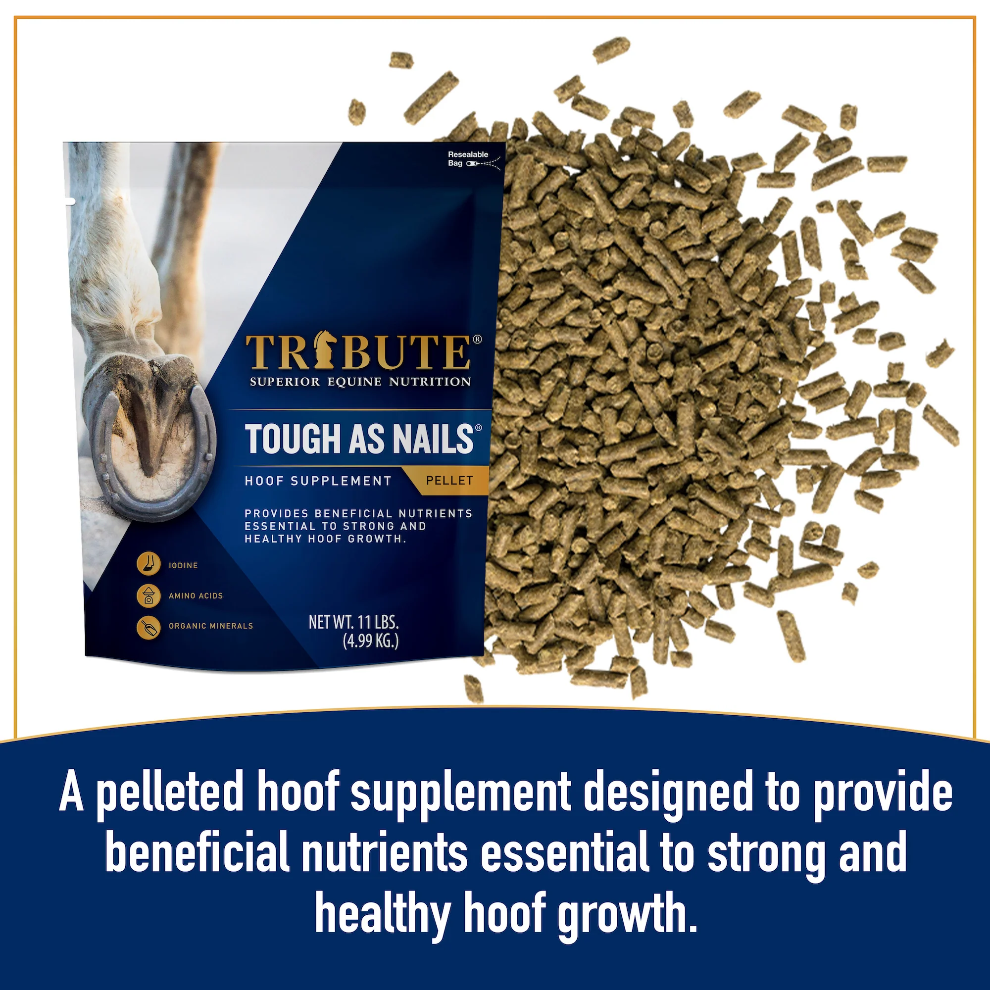Tough As Nails®, Hoof Supplement for Horses - Image 3