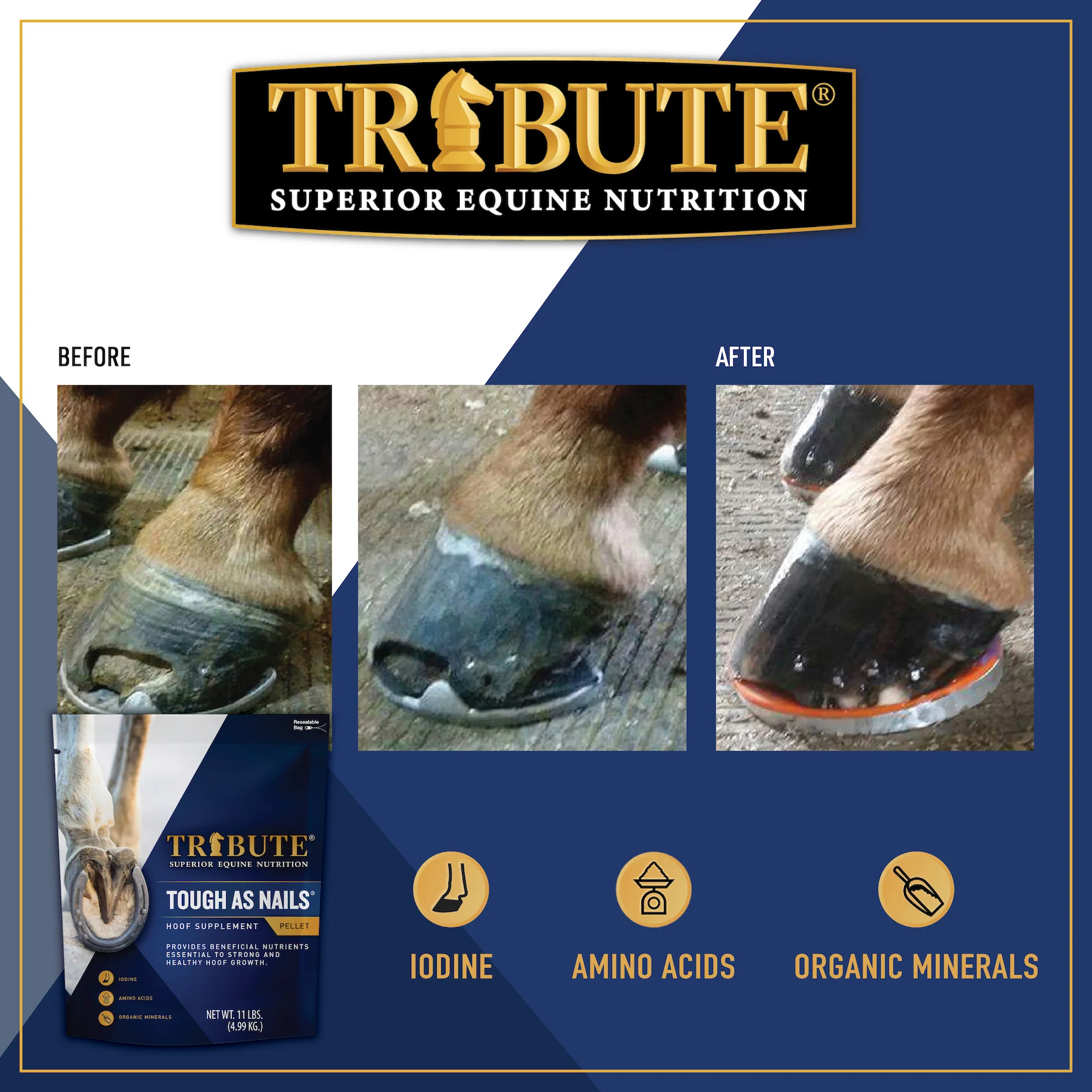 Tough As Nails®, Hoof Supplement for Horses - Image 4