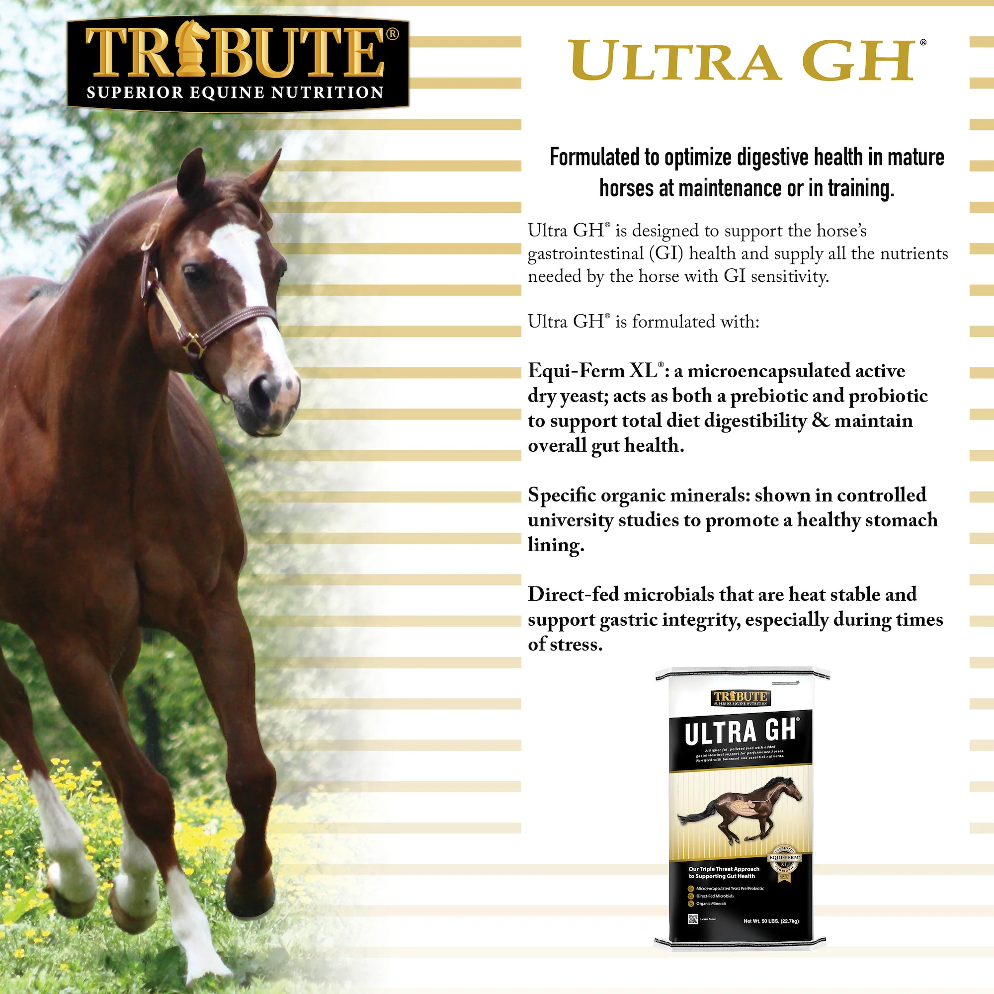 Ultra GH®, Pelleted Feed for Performance Horses - Image 5
