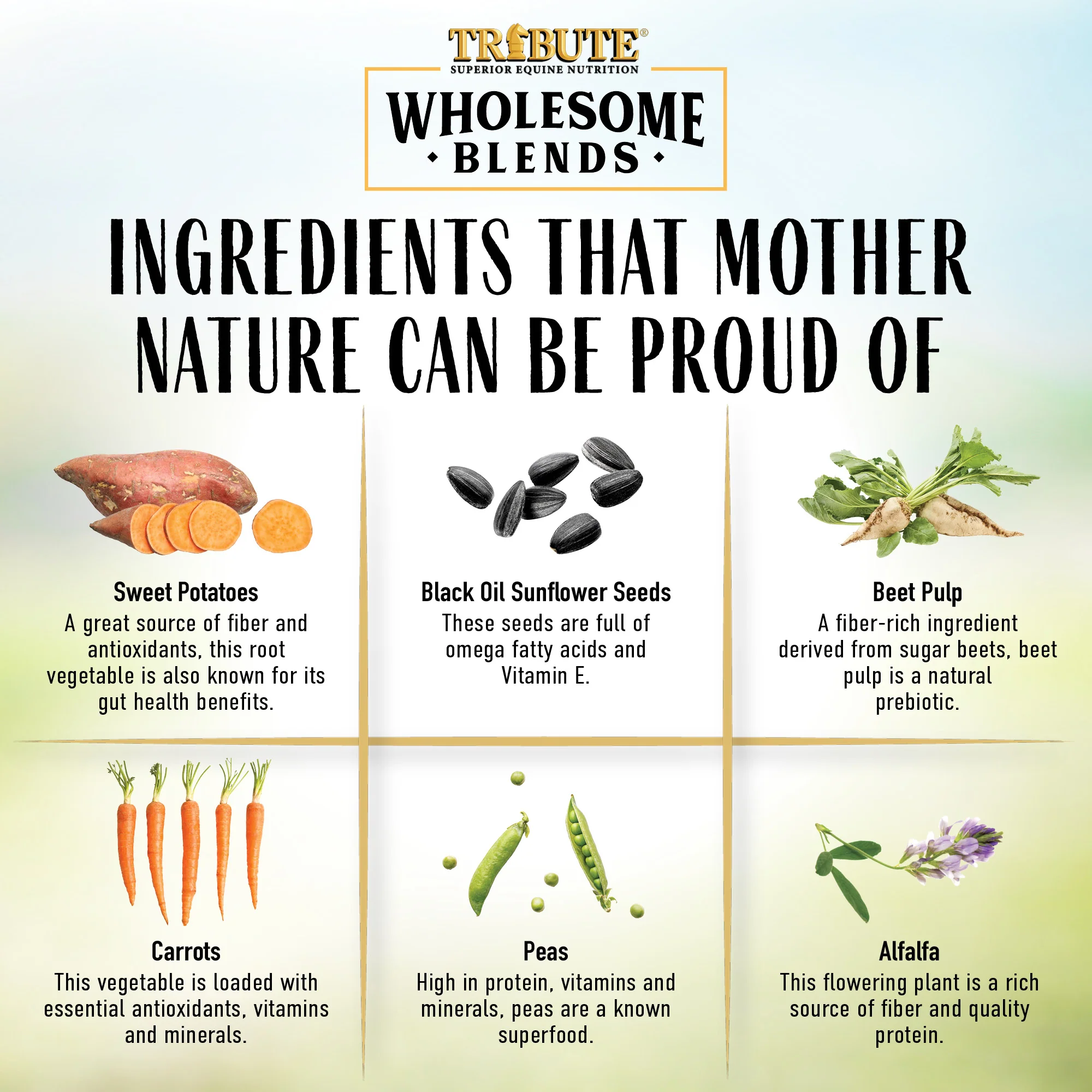 Wholesome Blends® Horse Treats - Image 4