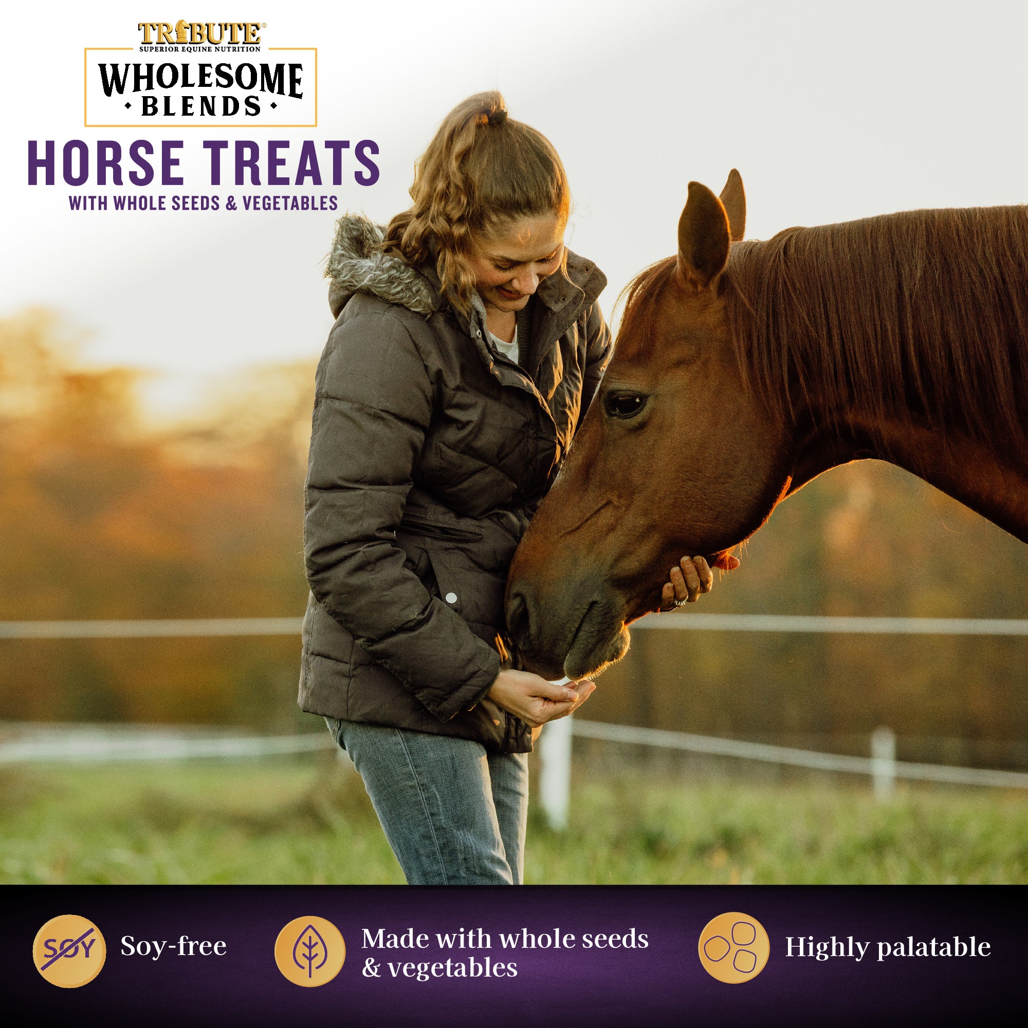Wholesome Blends® Horse Treats - Image 5
