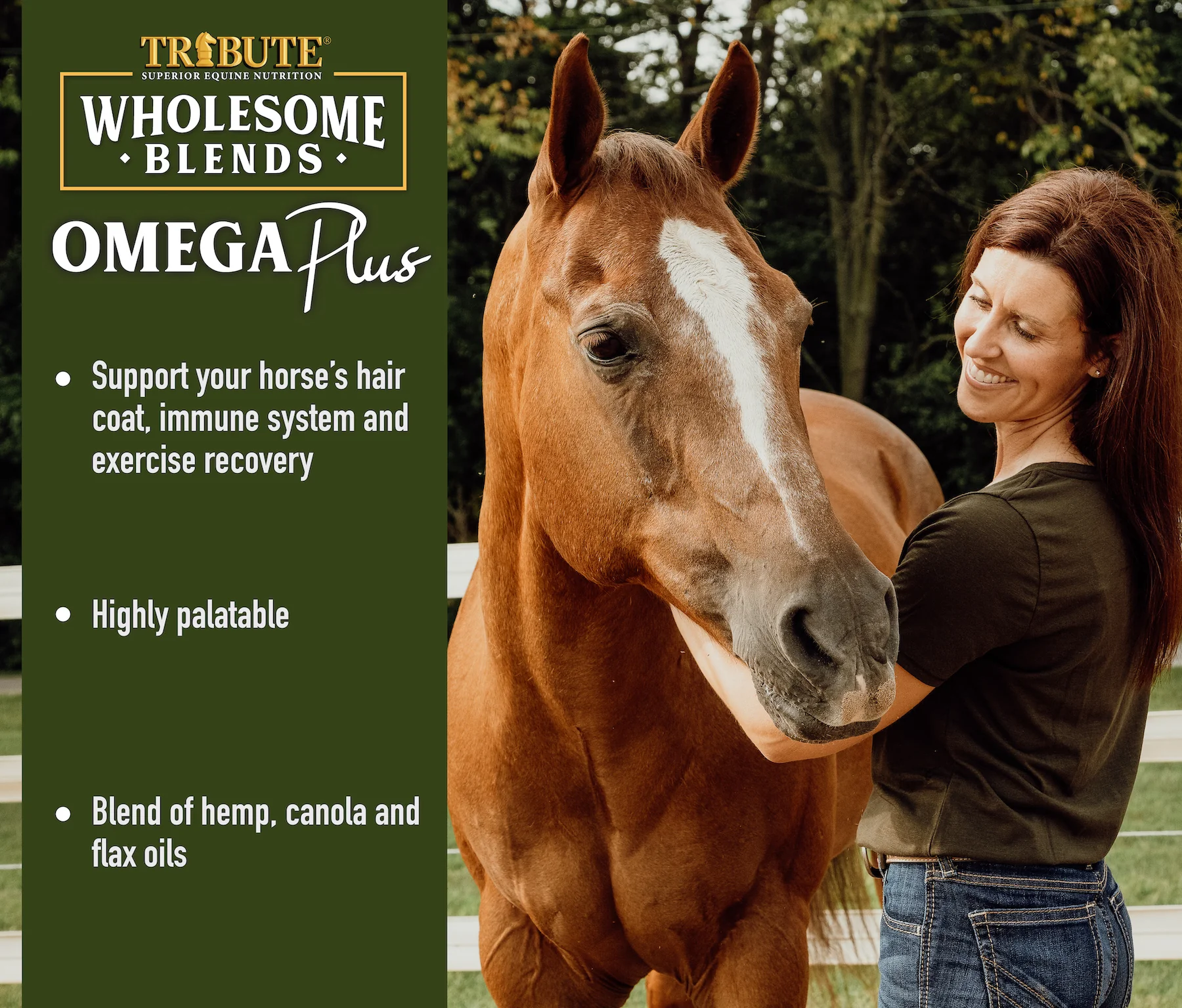 Wholesome Blends® Omega Plus, Omega 3 Oil Supplement - Image 4