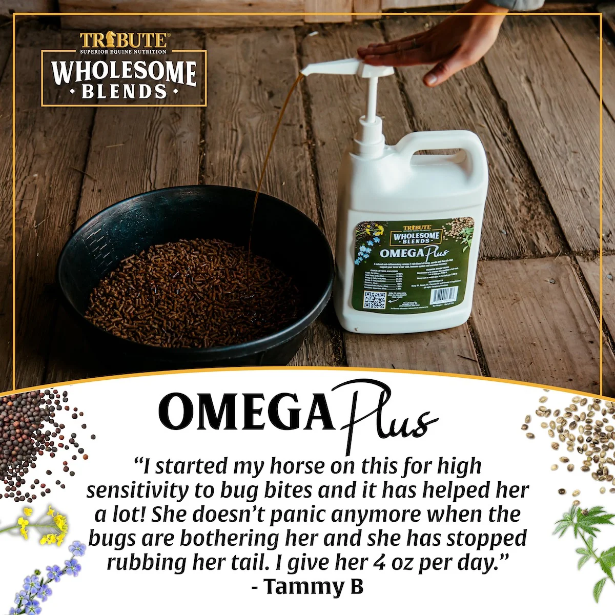 Wholesome Blends® Omega Plus, Omega 3 Oil Supplement - Image 5