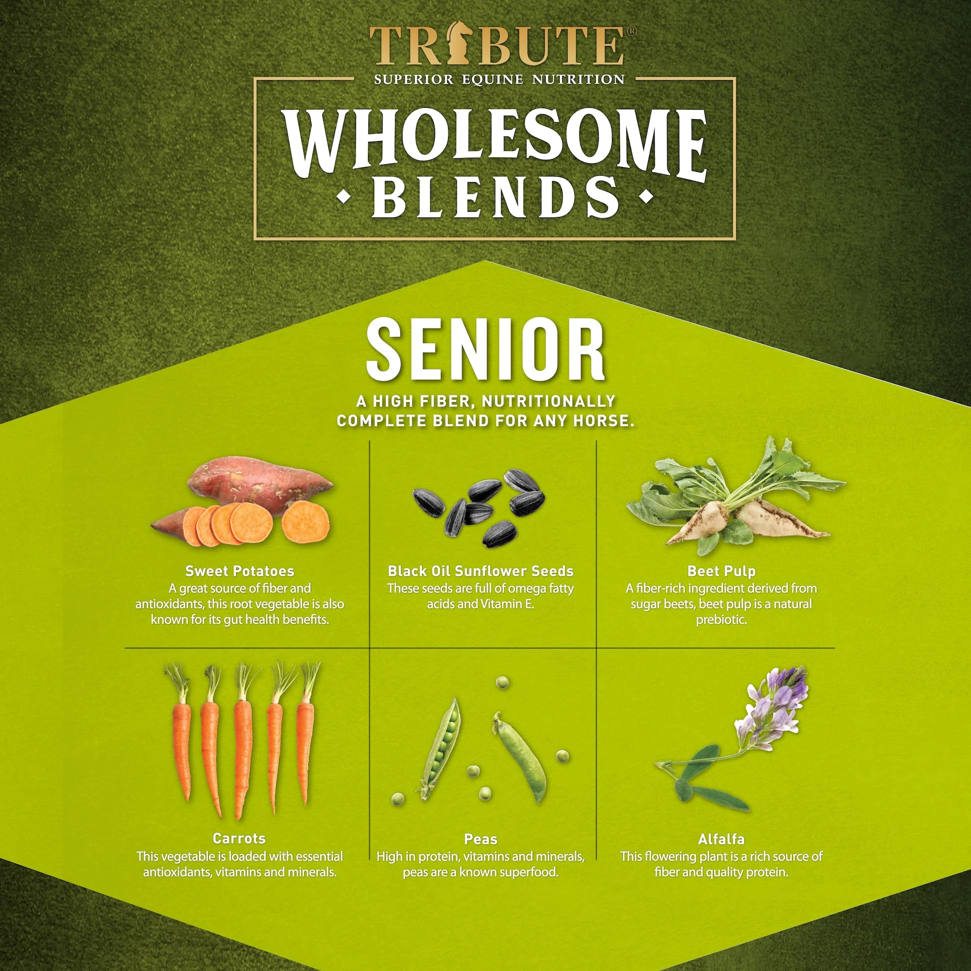Wholesome Blends® Senior, Soy-Free, Textured, Low NSC Feed - Image 6